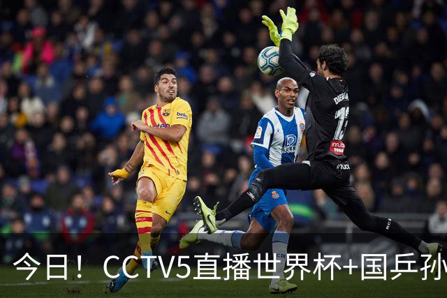 今日！CCTV5直播世界杯+国乒孙颖莎冲击冠军+中国男篮，5+转温网